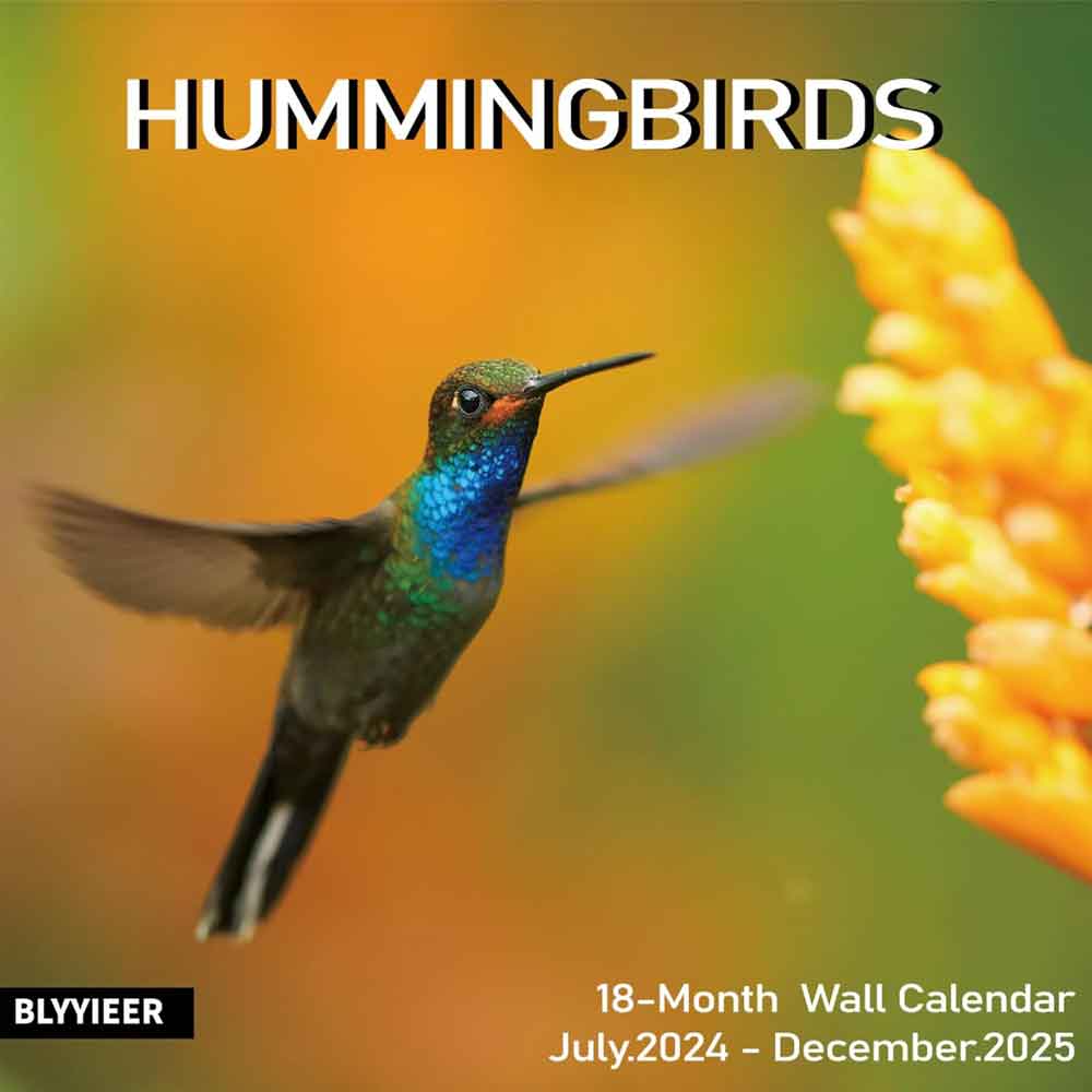 Calendars 2025 | Hummingbirds Flowers Wall Calendar