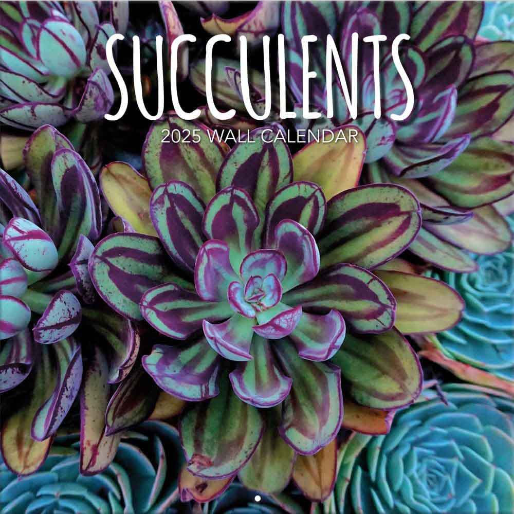 2025 Succulent Plants Calendar | Plant Photography Calendar