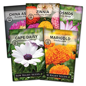 Seeds Flowers for Gardening Growing