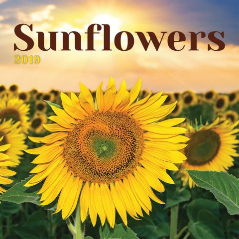 2020 Calendars | Sunflowers Wall Calendar