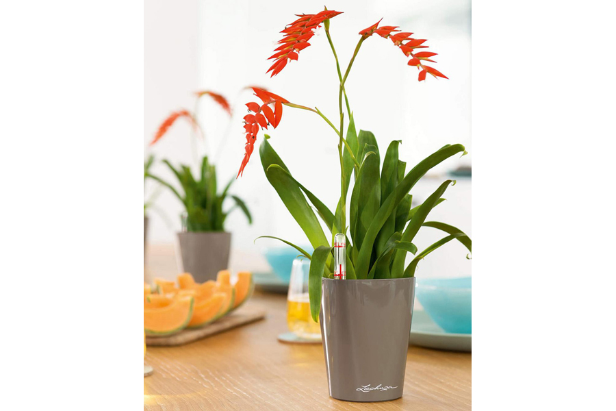 Self-Watering Planter Plant Pot | Plants Flowers Pots