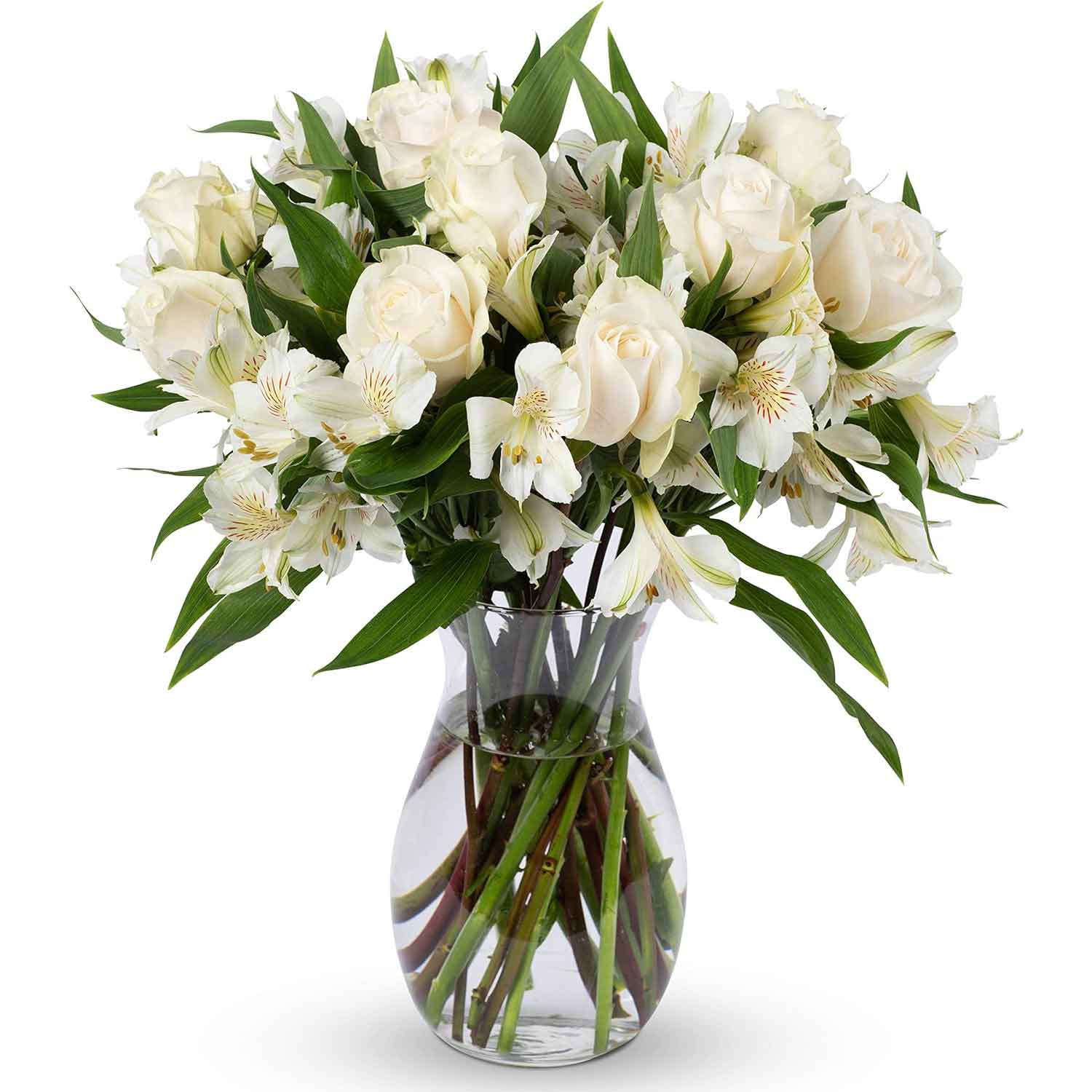 Plants and Flowers Delivered | Elegance Roses Flower Bouquet