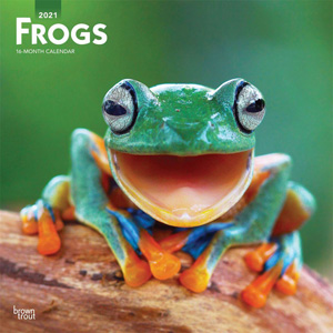 Calendars | Calendars Wall Desk Frogs