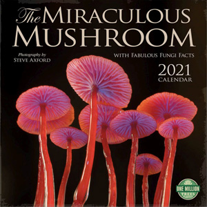 Mysterious Mushrooms Wall Calendar | Calendars