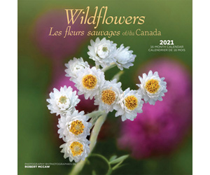 Wildflowers Wall Calendar | Flowers Plants Calendars